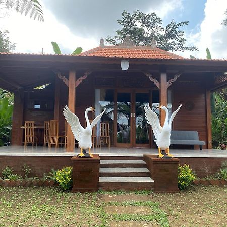 Lembah Cinta Mayungan Baturiti Exteriér fotografie