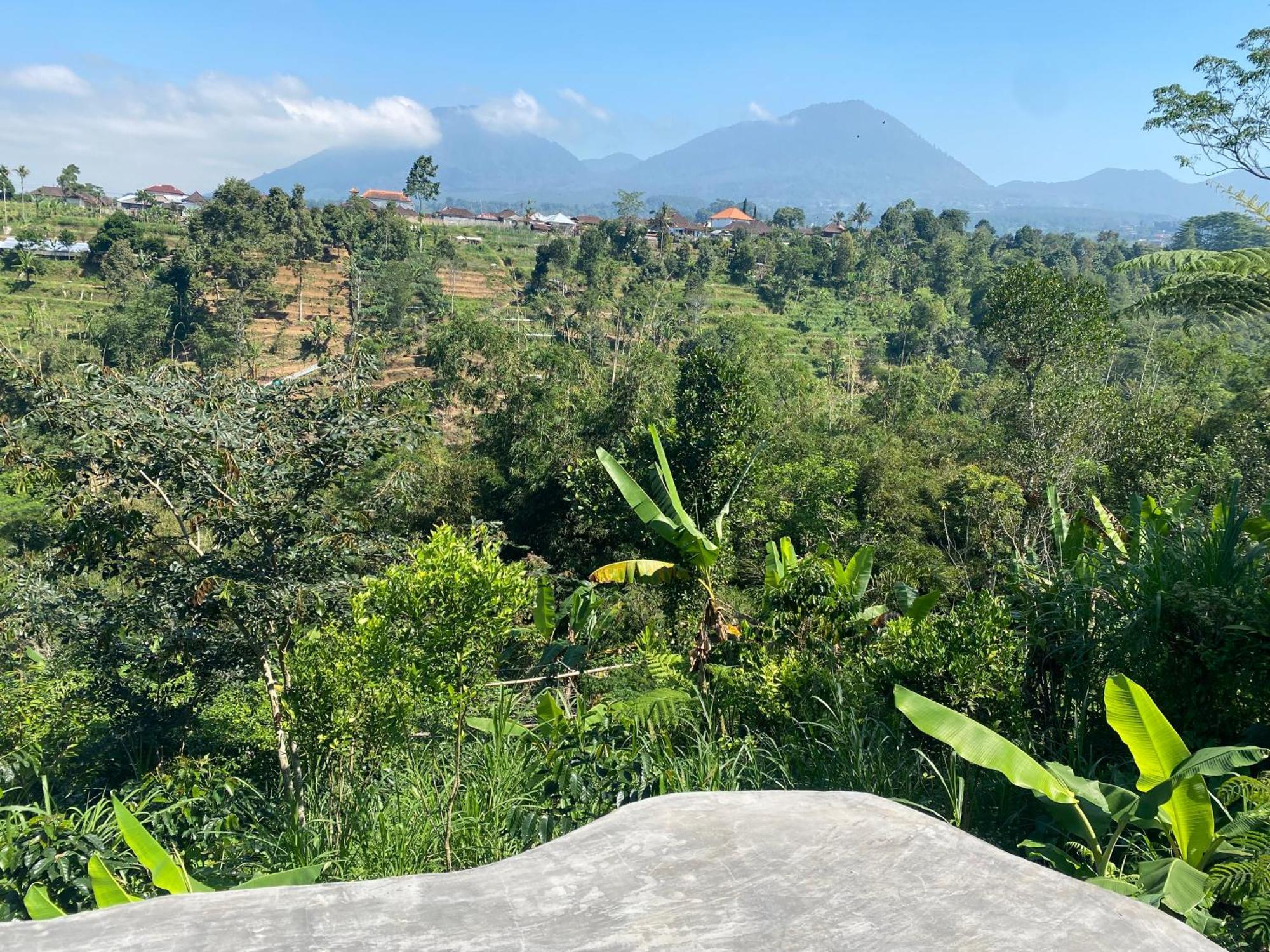Lembah Cinta Mayungan Baturiti Exteriér fotografie