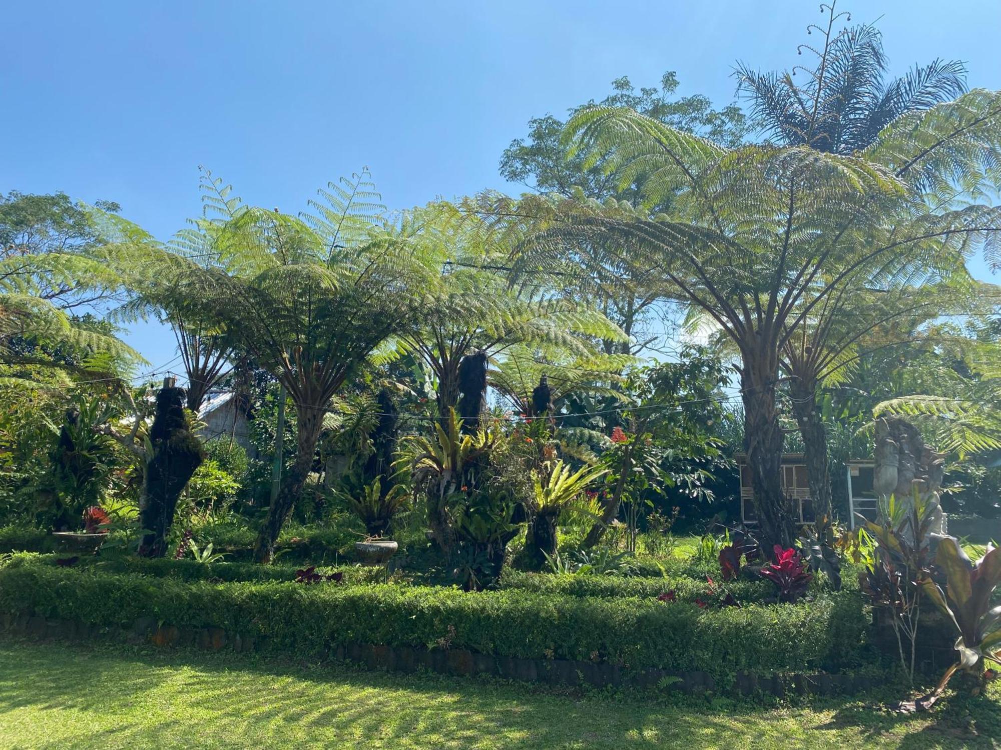 Lembah Cinta Mayungan Baturiti Exteriér fotografie