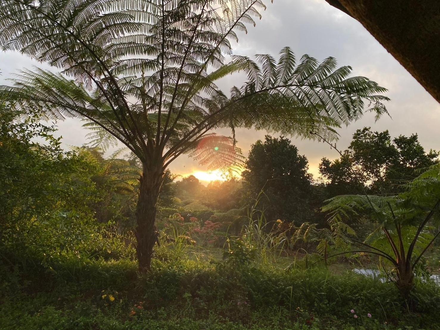 Lembah Cinta Mayungan Baturiti Exteriér fotografie