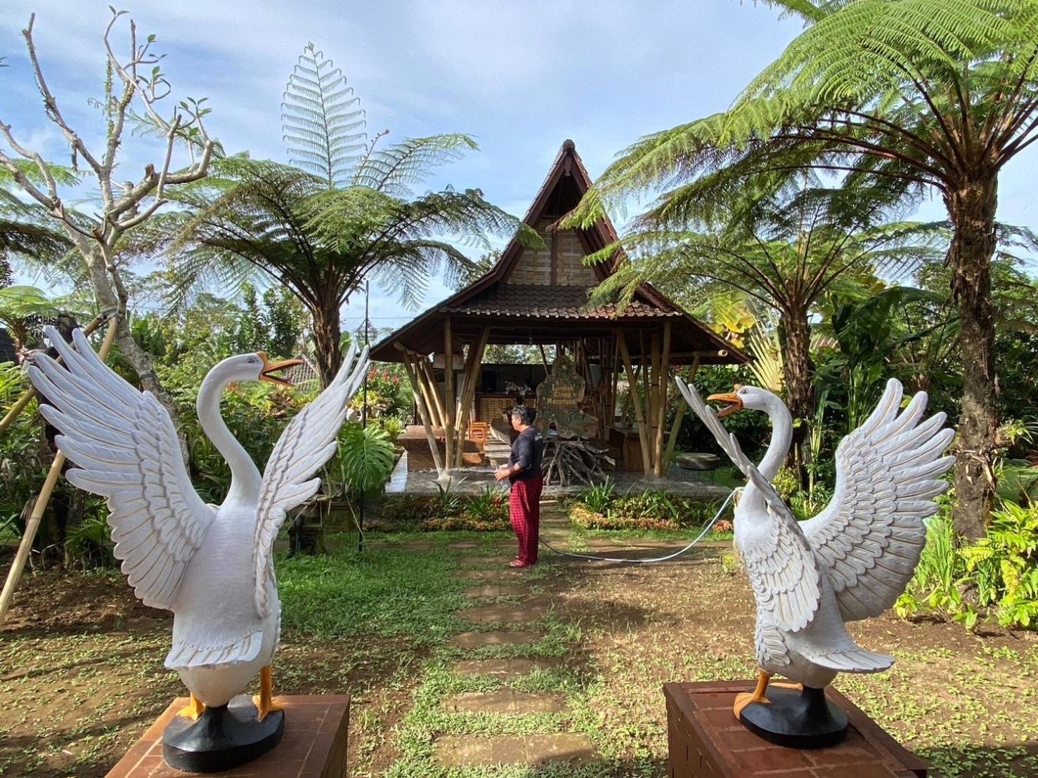 Lembah Cinta Mayungan Baturiti Exteriér fotografie