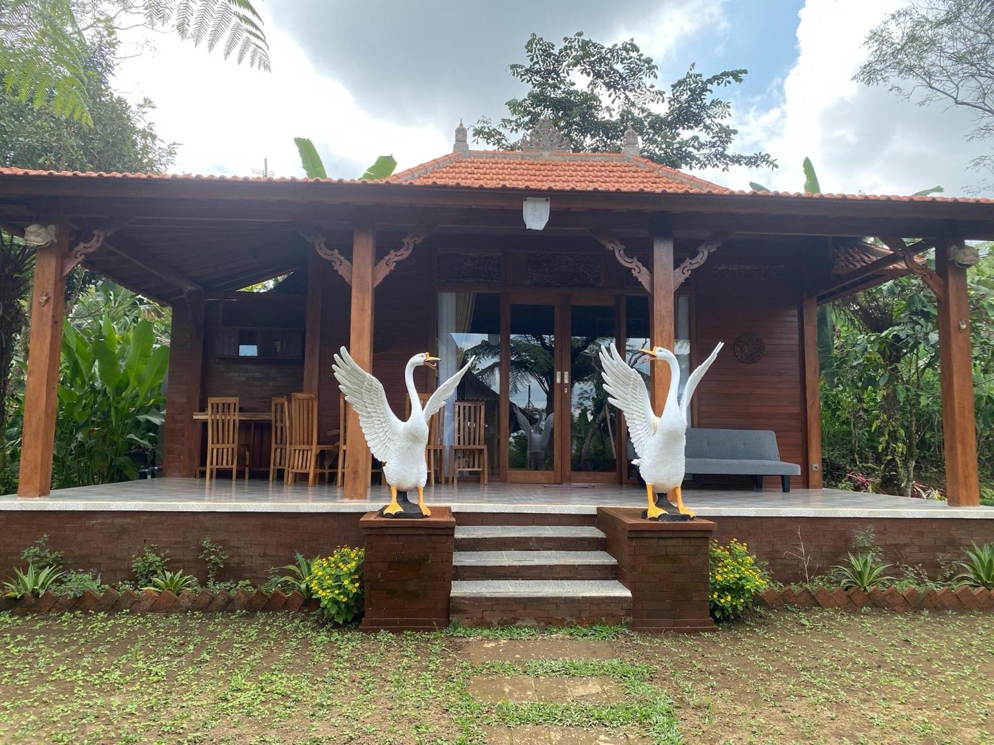 Lembah Cinta Mayungan Baturiti Exteriér fotografie