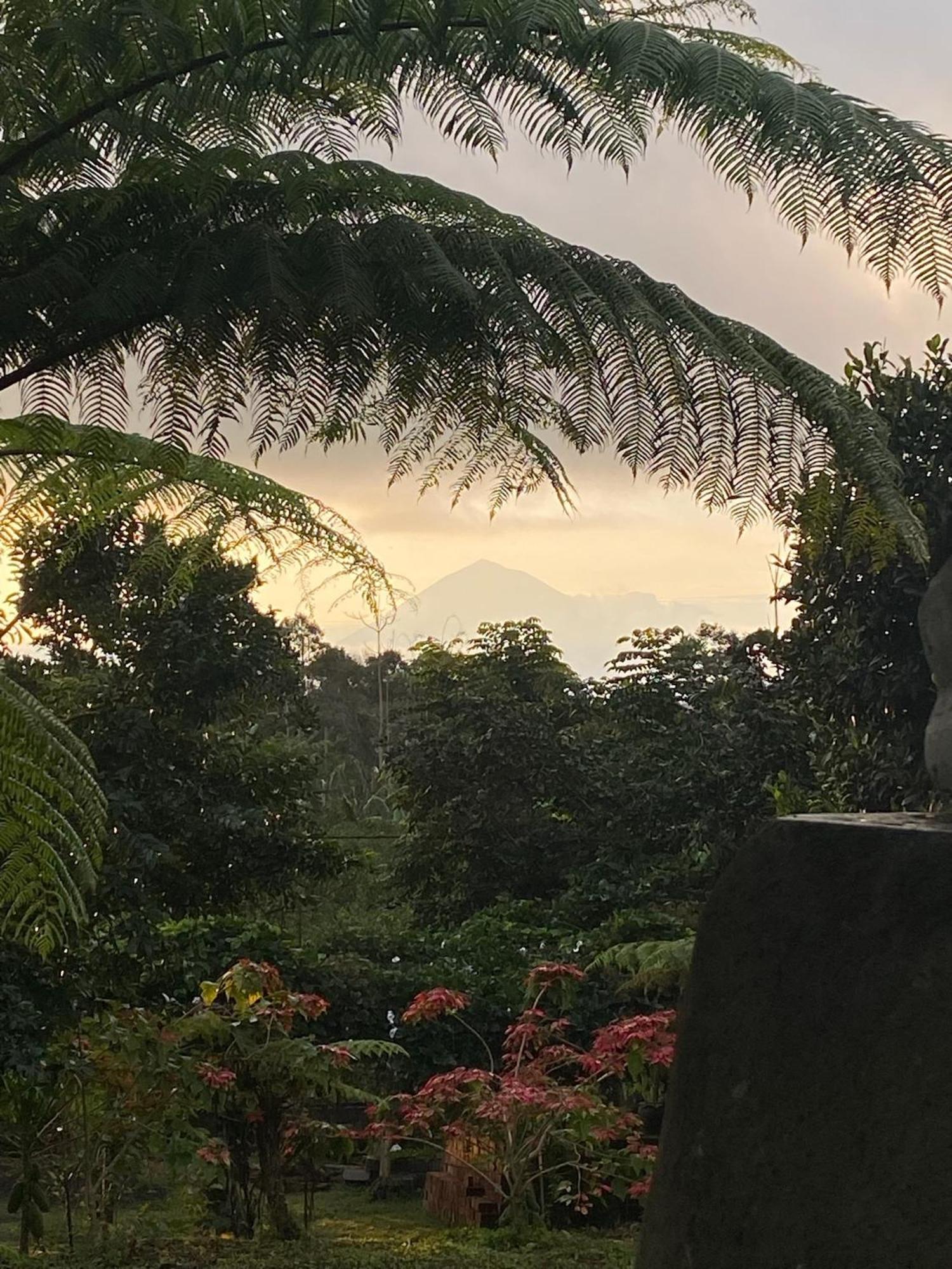 Lembah Cinta Mayungan Baturiti Exteriér fotografie